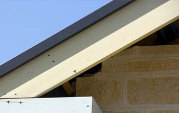 Roundyhill fascia repairs
